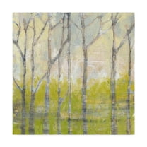 Trademark Fine Art 'Whispering Treeline II' Canvas Art by Jennifer Goldberger