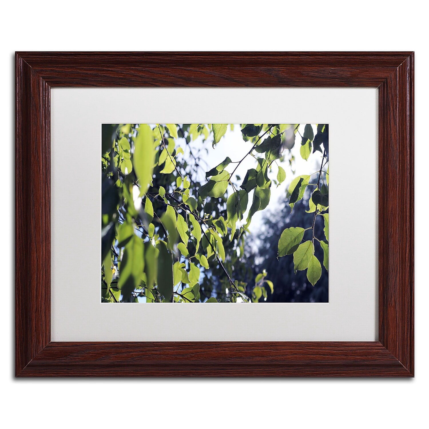 Trademark Fine Art "Whispers of Summer" Canvas Art by Beata Czyzowska Young, White Matte, Wood Frame