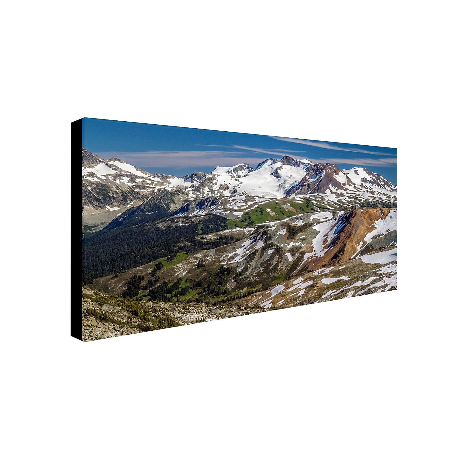 Trademark Fine Art "Whistler Summer" Canvas Art by Pierre Leclerc