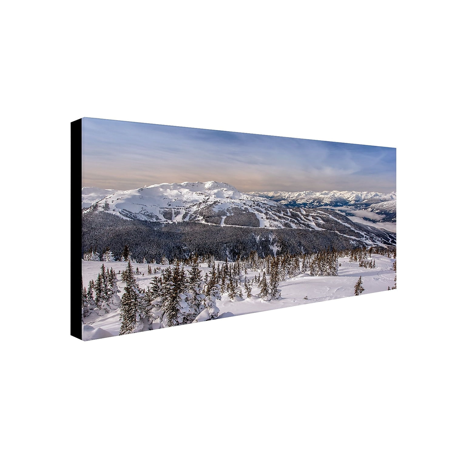 Winter Landscape Canvas Art in White and Blue