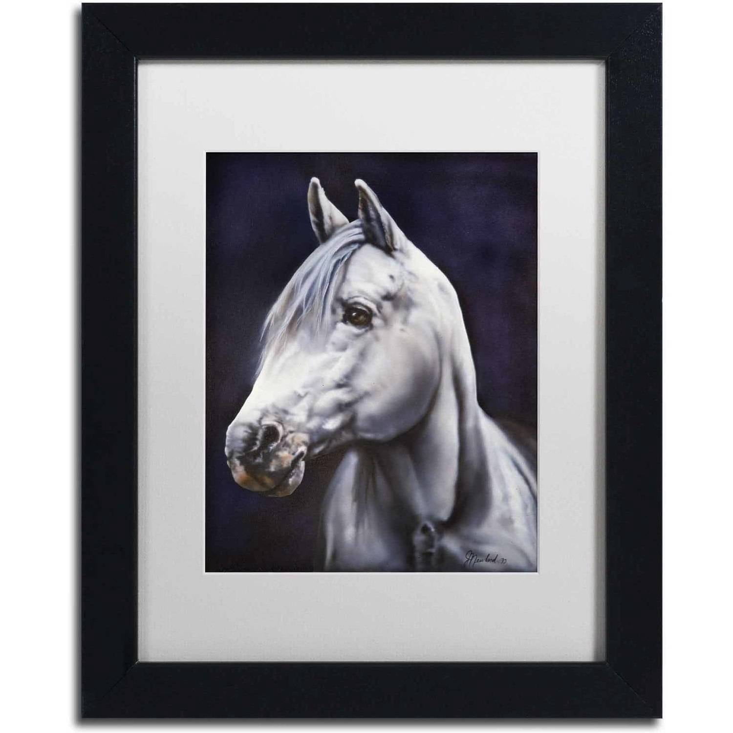 Trademark Fine Art 'White Arabian Stallion' Canvas Art by Jenny Newland, White Matte, Black Frame