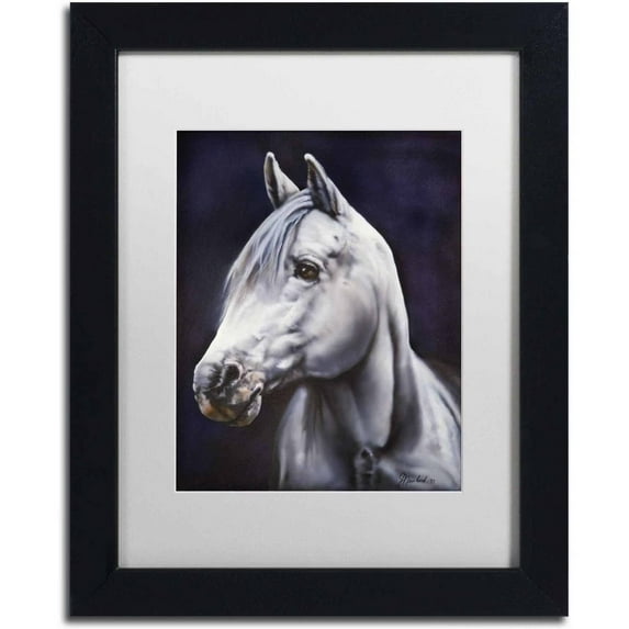 Trademark Fine Art 'White Arabian Stallion' Canvas Art by Jenny Newland, White Matte, Black Frame
