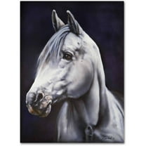 Trademark Fine Art 'White Arabian Stallion' Canvas Art by Jenny Newland