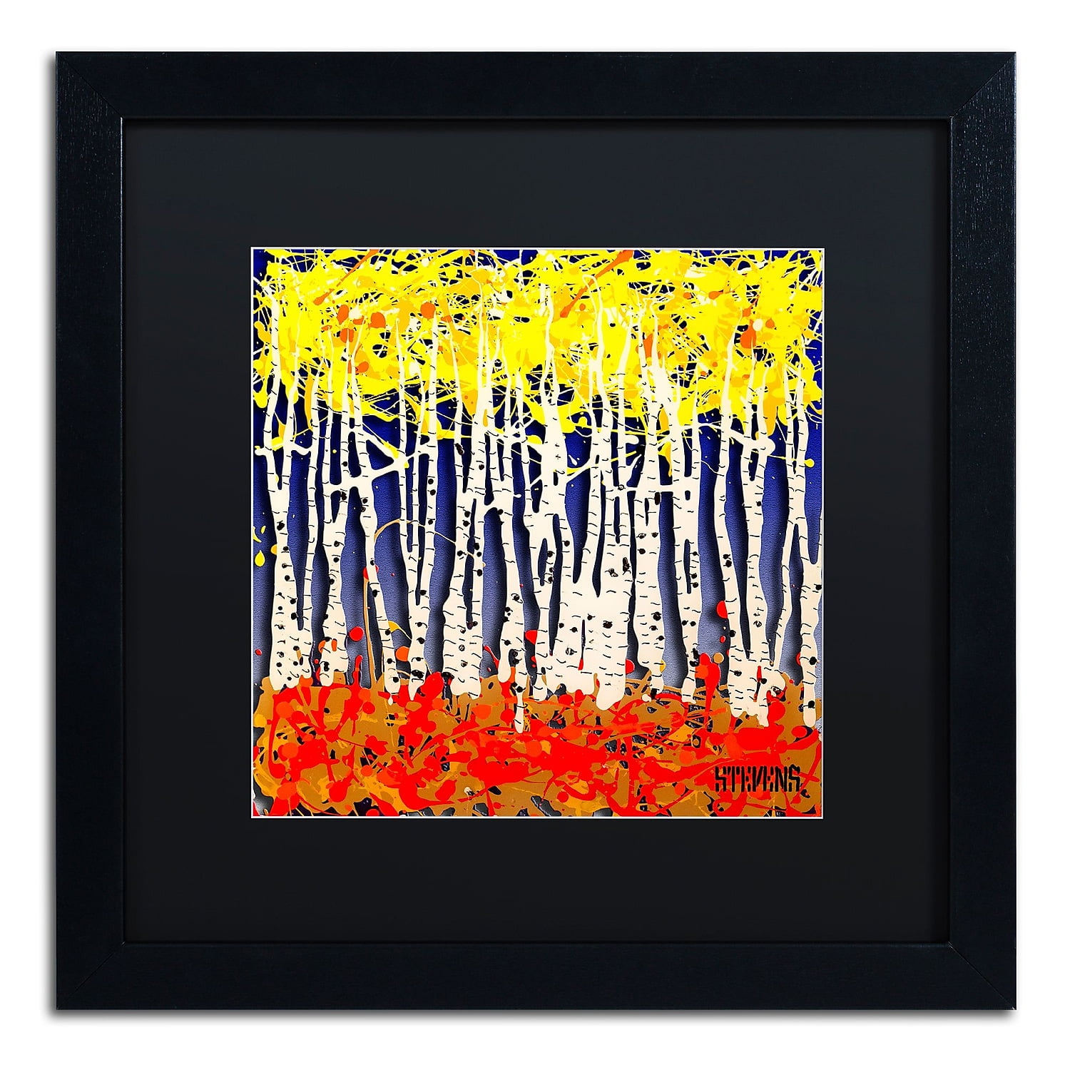 Trademark Fine Art "White Aspens" Canvas Art by Roderick Stevens, Black Matte, Black Frame