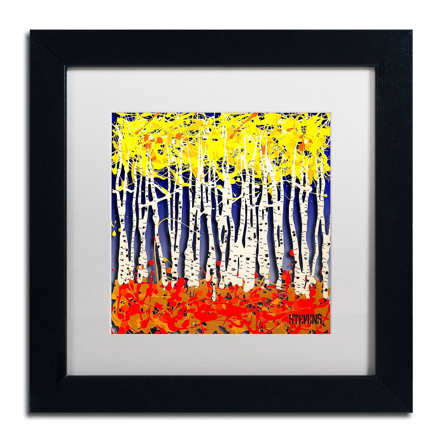 Trademark Fine Art "White Aspens" Canvas Art by Roderick Stevens, White Matte, Black Frame