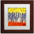 thumbnail image 1 of Trademark Fine Art "White Aspens" Canvas Art by Roderick Stevens, White Matte, Wood Frame, 1 of 1