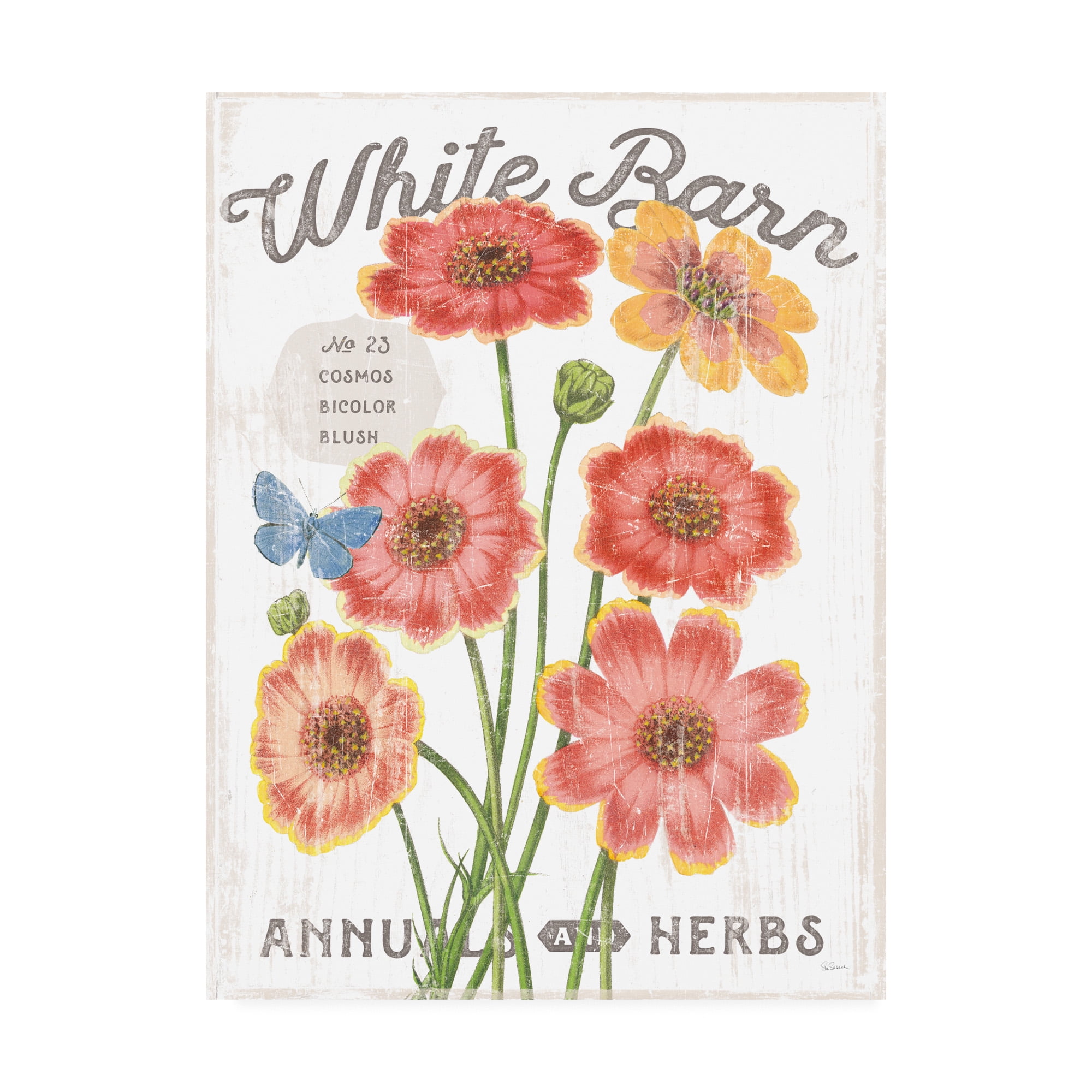 Trademark Fine Art 'White Barn Flowers III' Canvas Art by Sue Schlabach