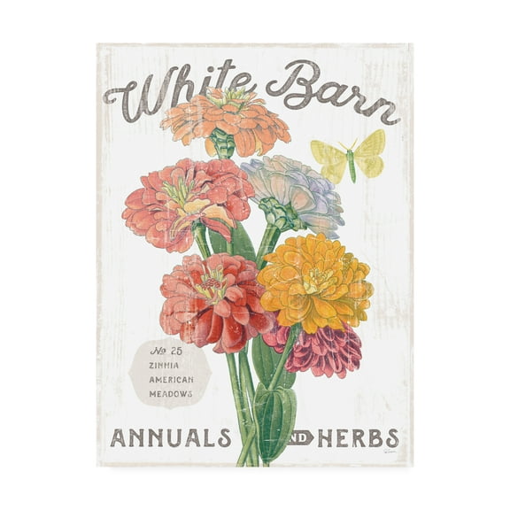 Trademark Fine Art 'White Barn Flowers V' Canvas Art by Sue Schlabach