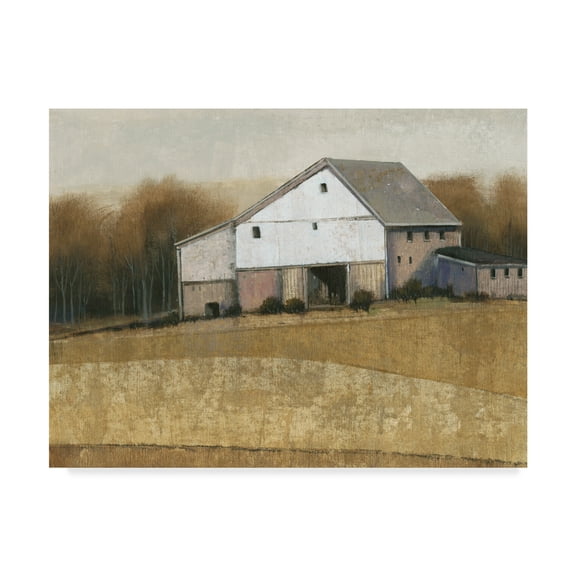 Trademark Fine Art 'White Barn View I' Canvas Art by Tim OToole