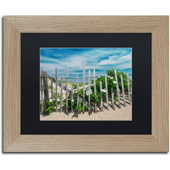Trademark Fine Art "White Beach Roses" Canvas Art by Michael Blanchette Photography Black Matte, Birch Frame