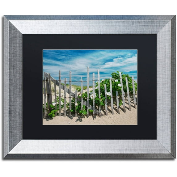 Trademark Fine Art "White Beach Roses" Canvas Art by Michael Blanchette Photography Black Matte, Silver Frame