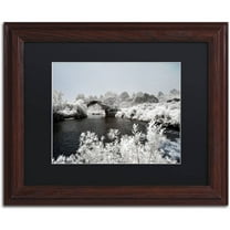 Trademark Fine Art "White Bridge" Canvas Art by Philippe Hugonnard, Black Matte, Wood Frame