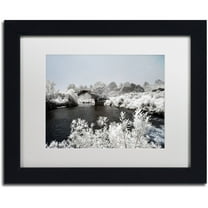 Trademark Fine Art "White Bridge" Canvas Art by Philippe Hugonnard, White Matte, Black Frame
