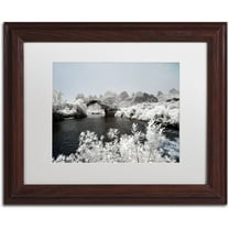Trademark Fine Art "White Bridge" Canvas Art by Philippe Hugonnard, White Matte, Wood Frame