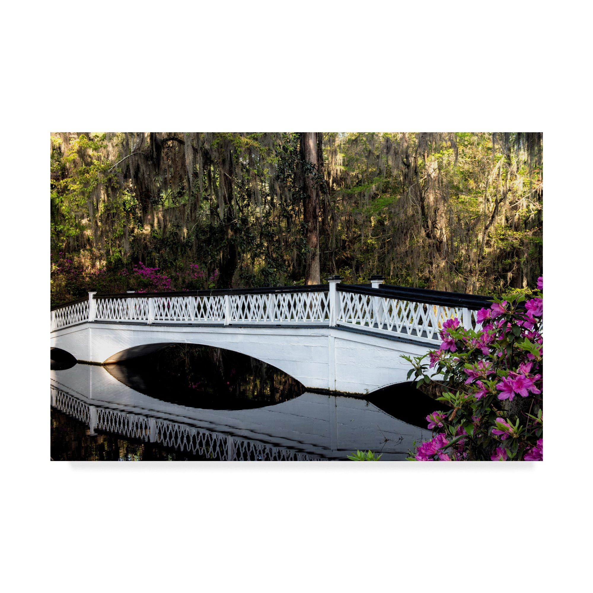Trademark Fine Art 'White Bridge Reflections' Canvas Art by Danny Head