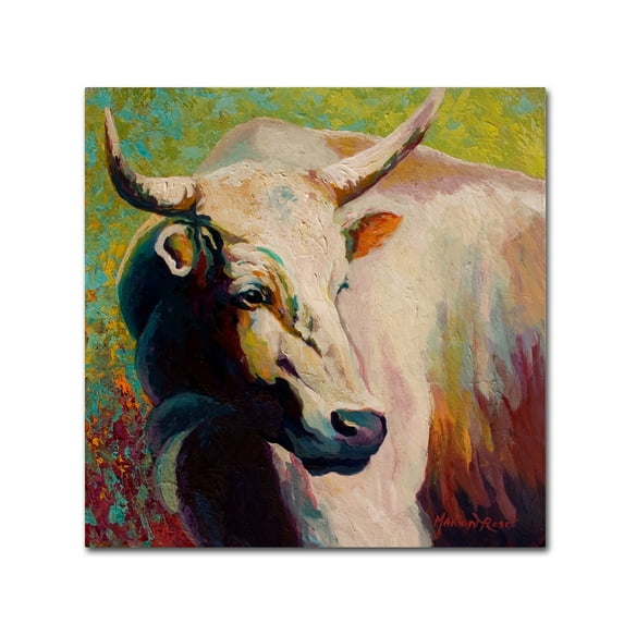 Trademark Fine Art 'White Bull Portrait' Canvas Art by Marion Rose
