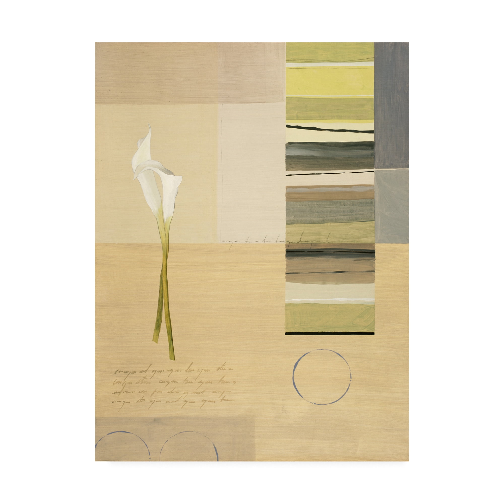 Trademark Fine Art 'White Calla Lilies With Stripes' Canvas Art by Pablo Esteban
