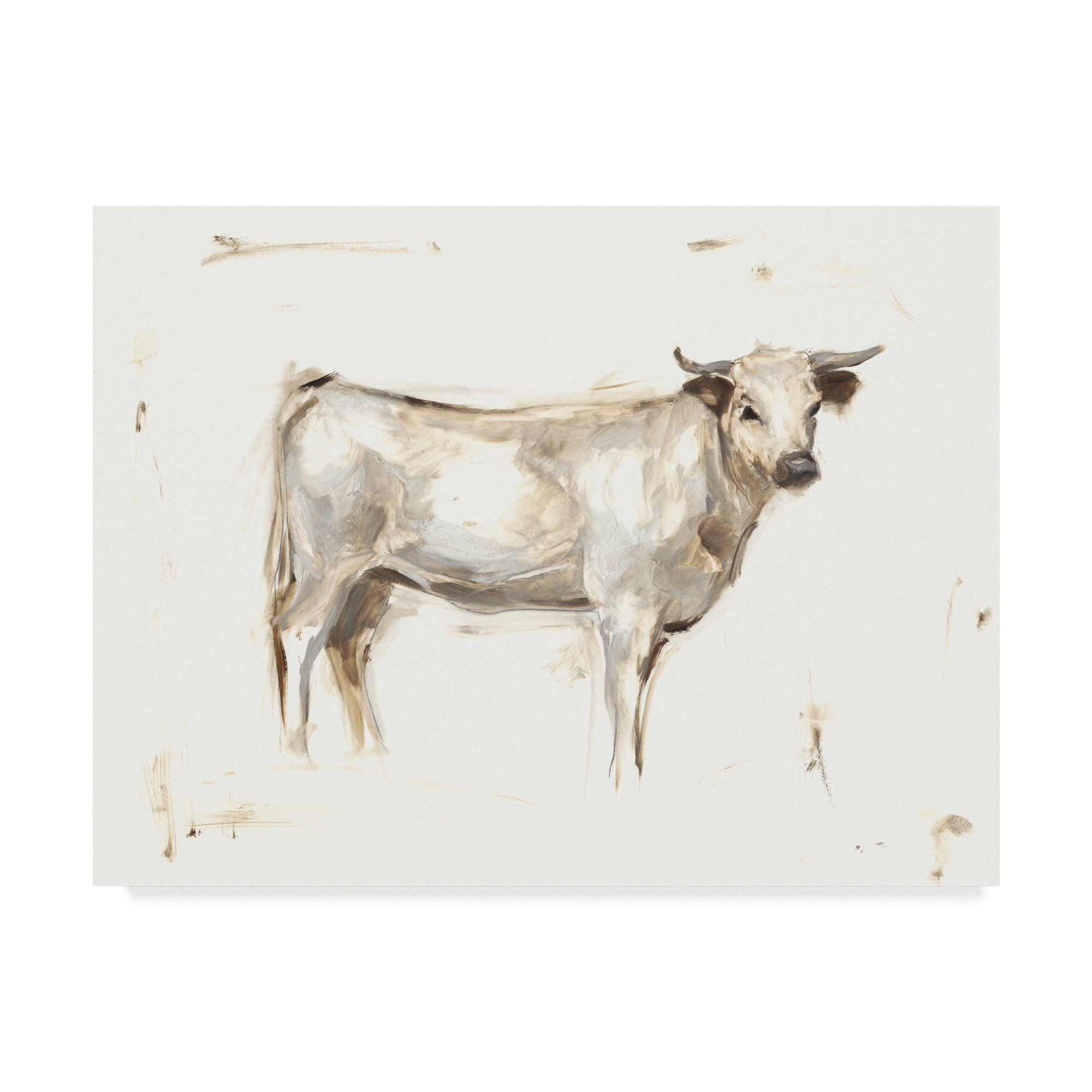 Trademark Fine Art 'White Cattle I' Canvas Art by Ethan Harper