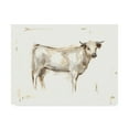 thumbnail image 1 of Trademark Fine Art 'White Cattle I' Canvas Art by Ethan Harper, 1 of 4