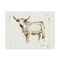 Trademark Fine Art 'White Cattle II' Canvas Art by Ethan Harper