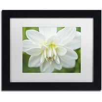 Trademark Fine Art 'White Dahlia' Canvas Art by Cora Niele, White Matte, Black Frame