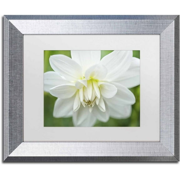 Trademark Fine Art 'White Dahlia' Canvas Art by Cora Niele, White Matte, Silver Frame