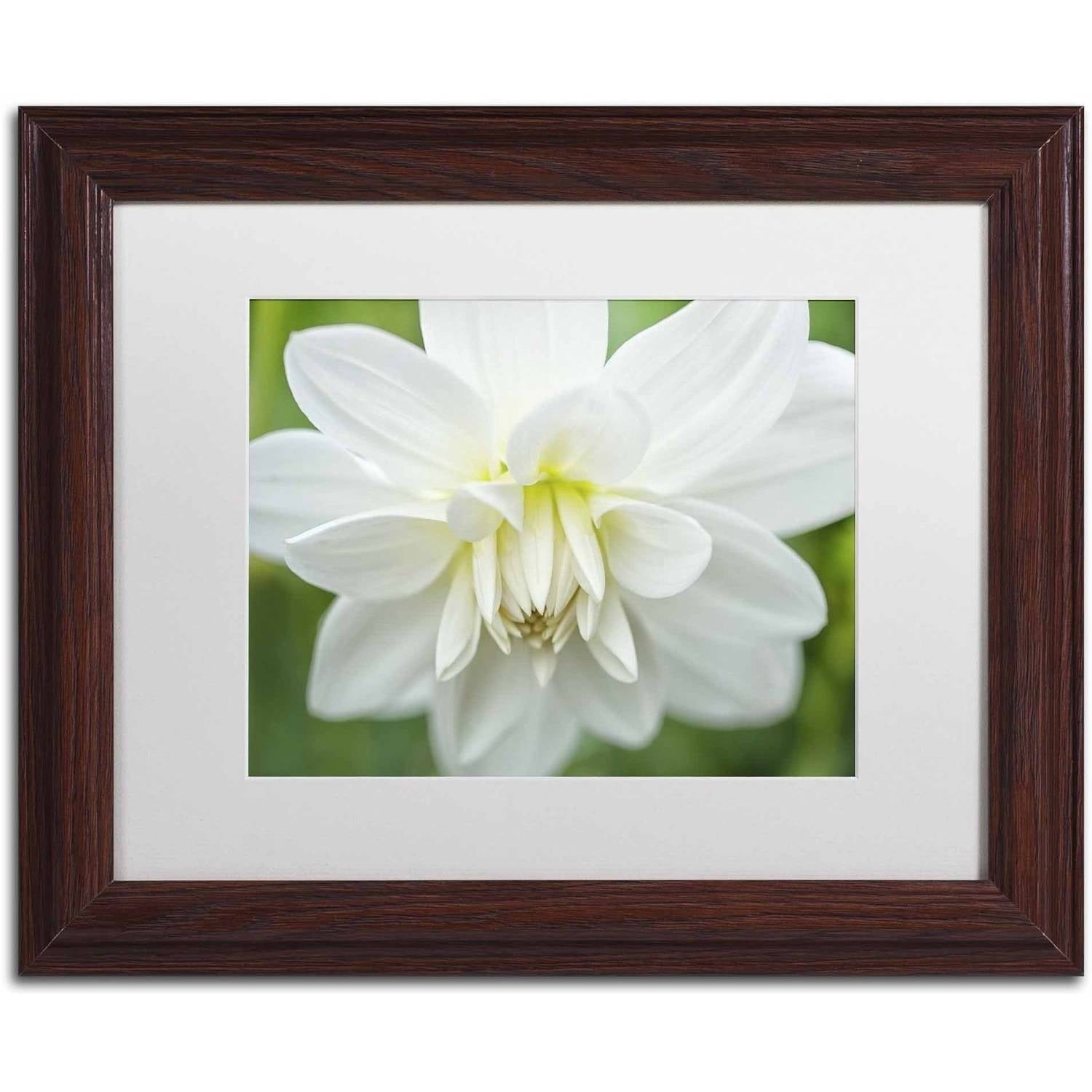 Trademark Fine Art 'White Dahlia' Canvas Art by Cora Niele, White Matte, Wood Frame
