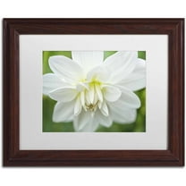 Trademark Fine Art 'White Dahlia' Canvas Art by Cora Niele, White Matte, Wood Frame
