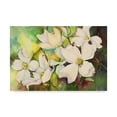 thumbnail image 1 of Trademark Fine Art 'White Dogwood' Canvas Art by Joanne Porter, 1 of 3