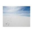 thumbnail image 1 of Trademark Fine Art 'White Dunes I' Canvas Art by Sonja Quintero, 1 of 3