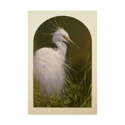 Trademark Fine Art White Egret Canvas Art by Michael Jackson