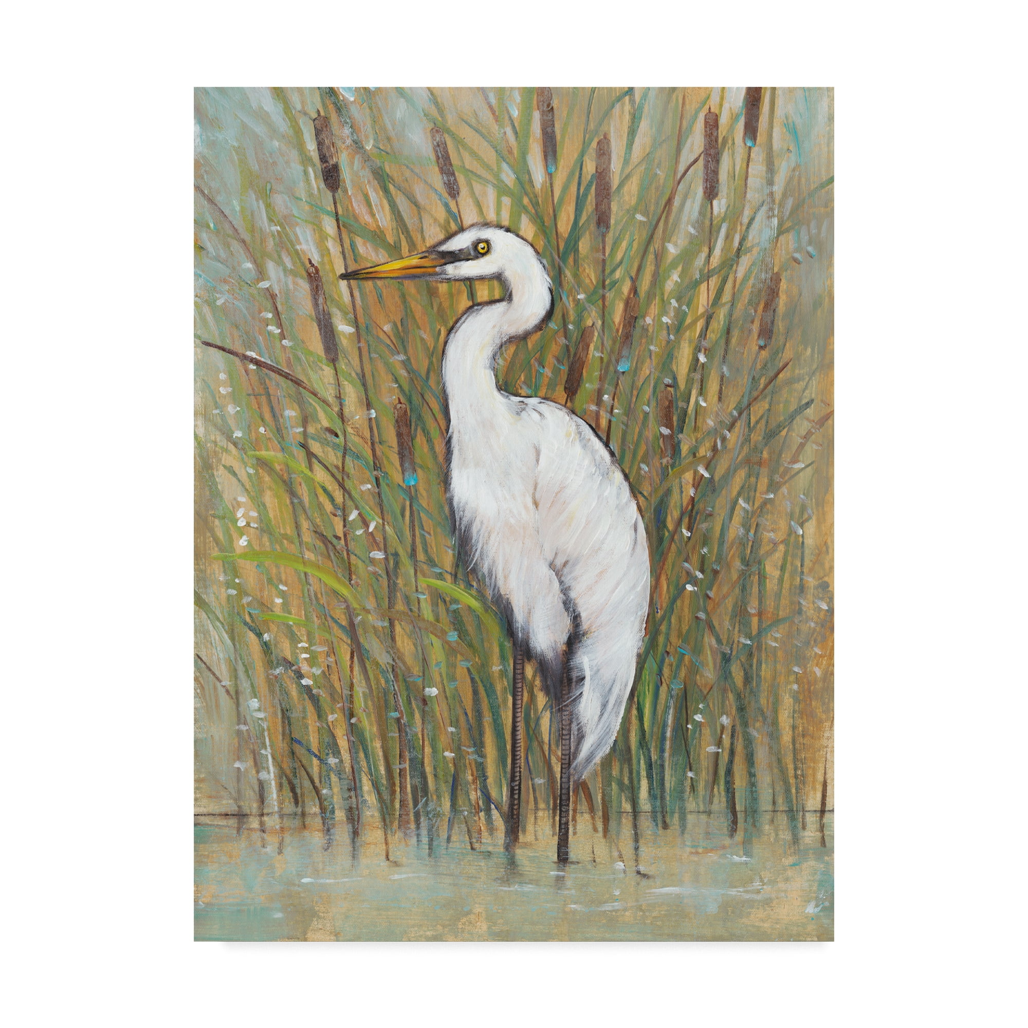 Trademark Fine Art 'White Egret I' Canvas Art by Tim OToole