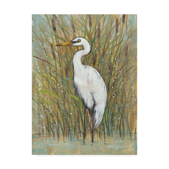 Trademark Fine Art 'White Egret I' Canvas Art by Tim OToole