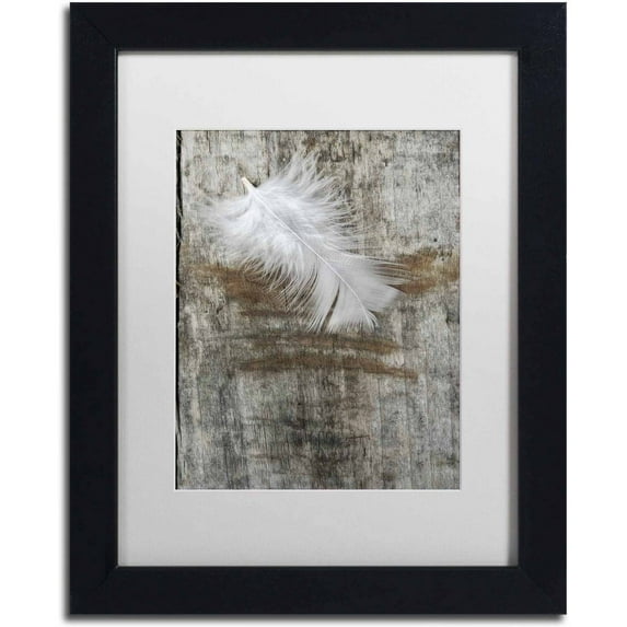 Trademark Fine Art 'White Feather on Wood' Canvas Art by Cora Niele, White Matte, Black Frame