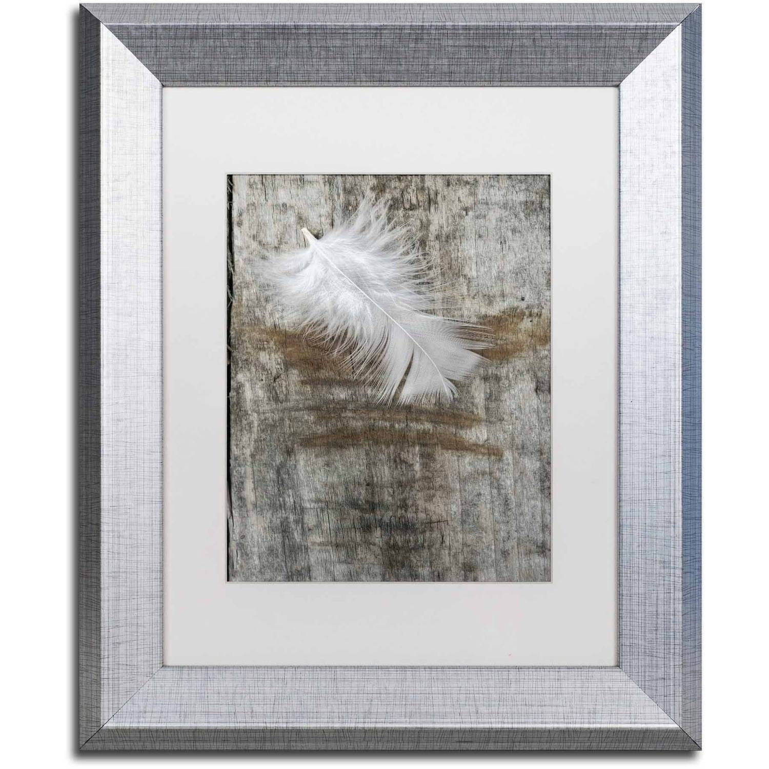 Trademark Fine Art 'White Feather on Wood' Canvas Art by Cora Niele, White Matte, Silver Frame