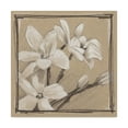 thumbnail image 1 of Trademark Fine Art 'White Floral Study III' Canvas Art by Ethan Harper, 1 of 4