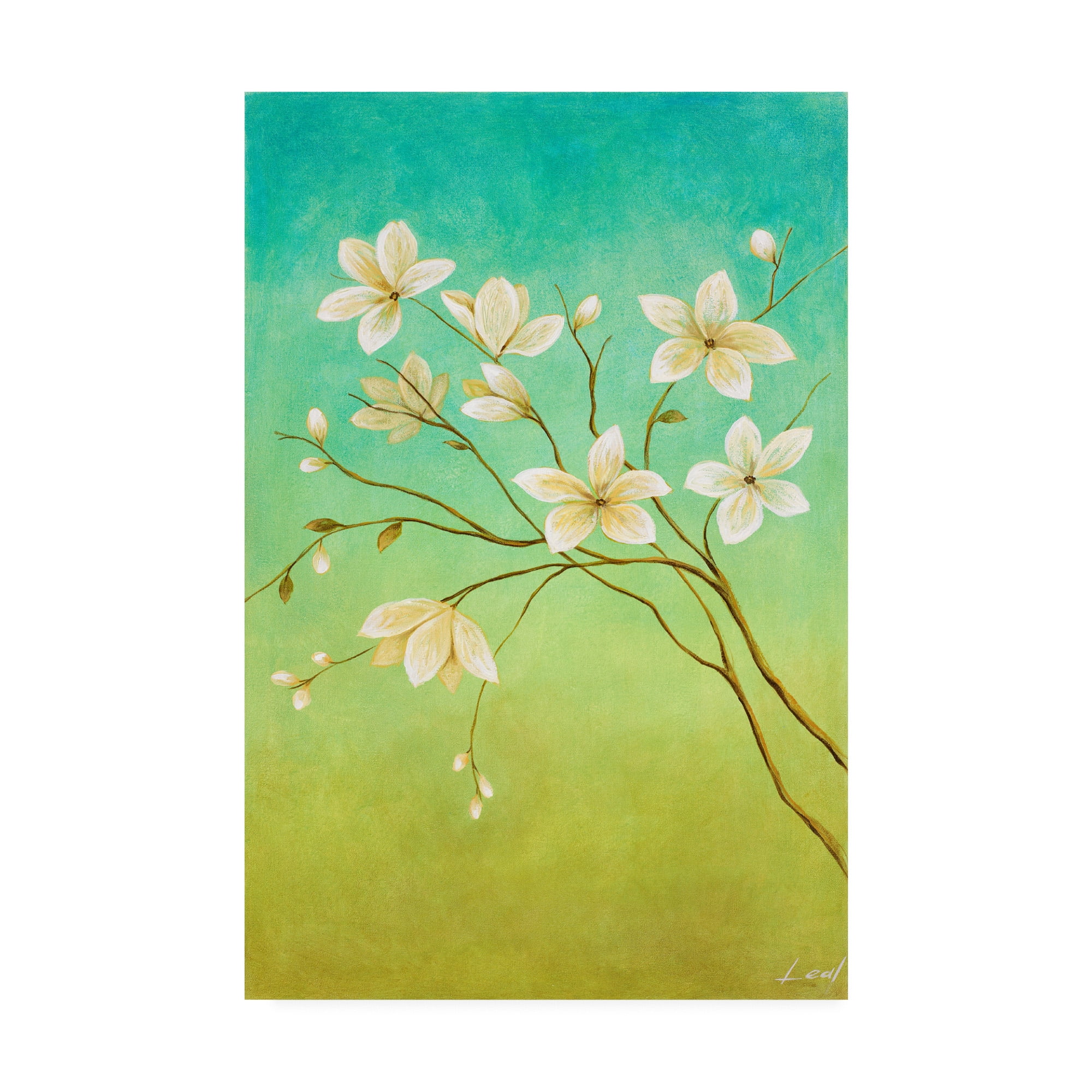 Trademark Fine Art 'White Flower Branch 1' Canvas Art by Pablo Esteban