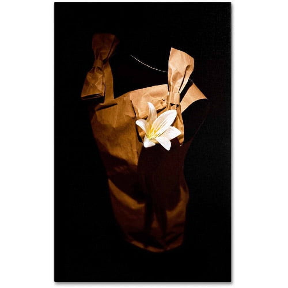 Trademark Fine Art "White Flower" Canvas Art by Roderick Stevens