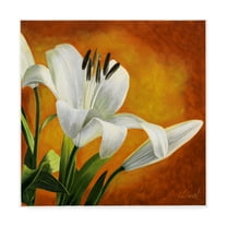 Trademark Fine Art 'White Flower Over Orange Light 2' Canvas Art by Pablo Esteban