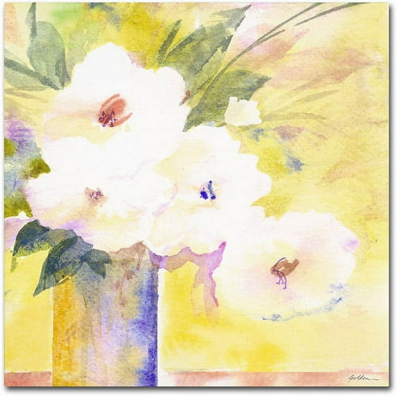 Trademark Fine Art "White Flower Shadows" Canvas Art by Sheila Golden