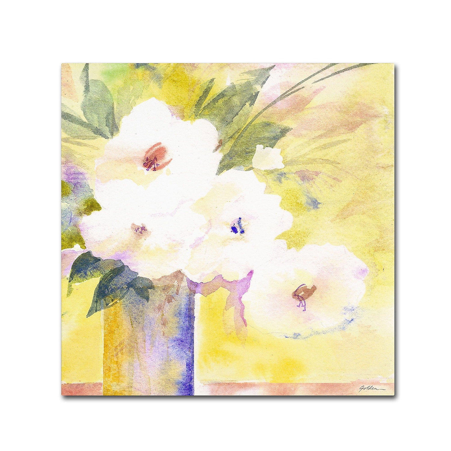 Trademark Fine Art "White Flower Shadows" Canvas Art by Sheila Golden