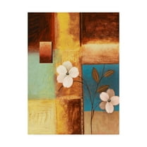 Trademark Fine Art 'White Flowers And Squares' Canvas Art by Pablo Esteban