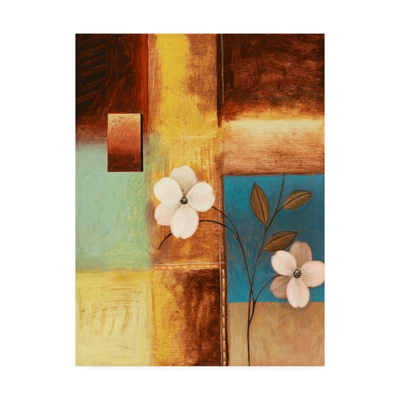Trademark Fine Art 'White Flowers And Squares' Canvas Art by Pablo Esteban