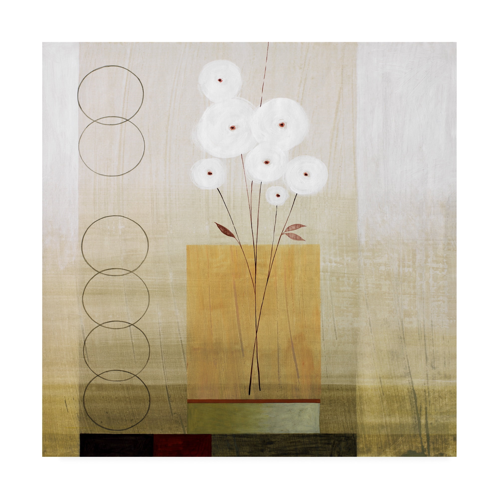 Trademark Fine Art 'White Flowers With Circles' Canvas Art by Pablo Esteban