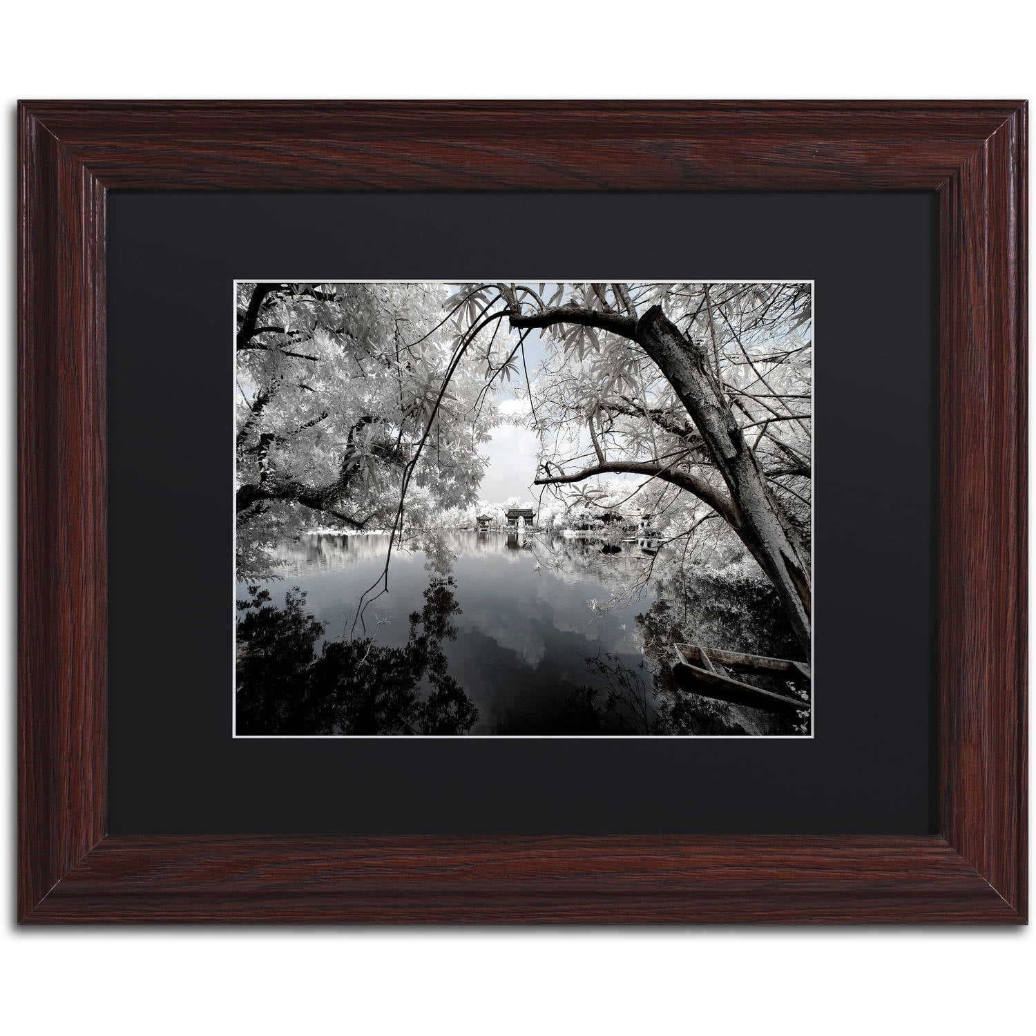Trademark Fine Art "White Foliage" Canvas Art by Philippe Hugonnard, Black Matte, Wood Frame