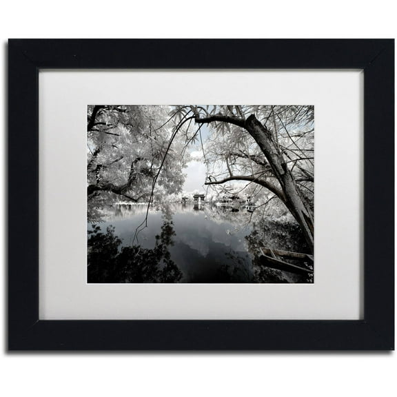 Trademark Fine Art "White Foliage" Canvas Art by Philippe Hugonnard, White Matte, Black Frame