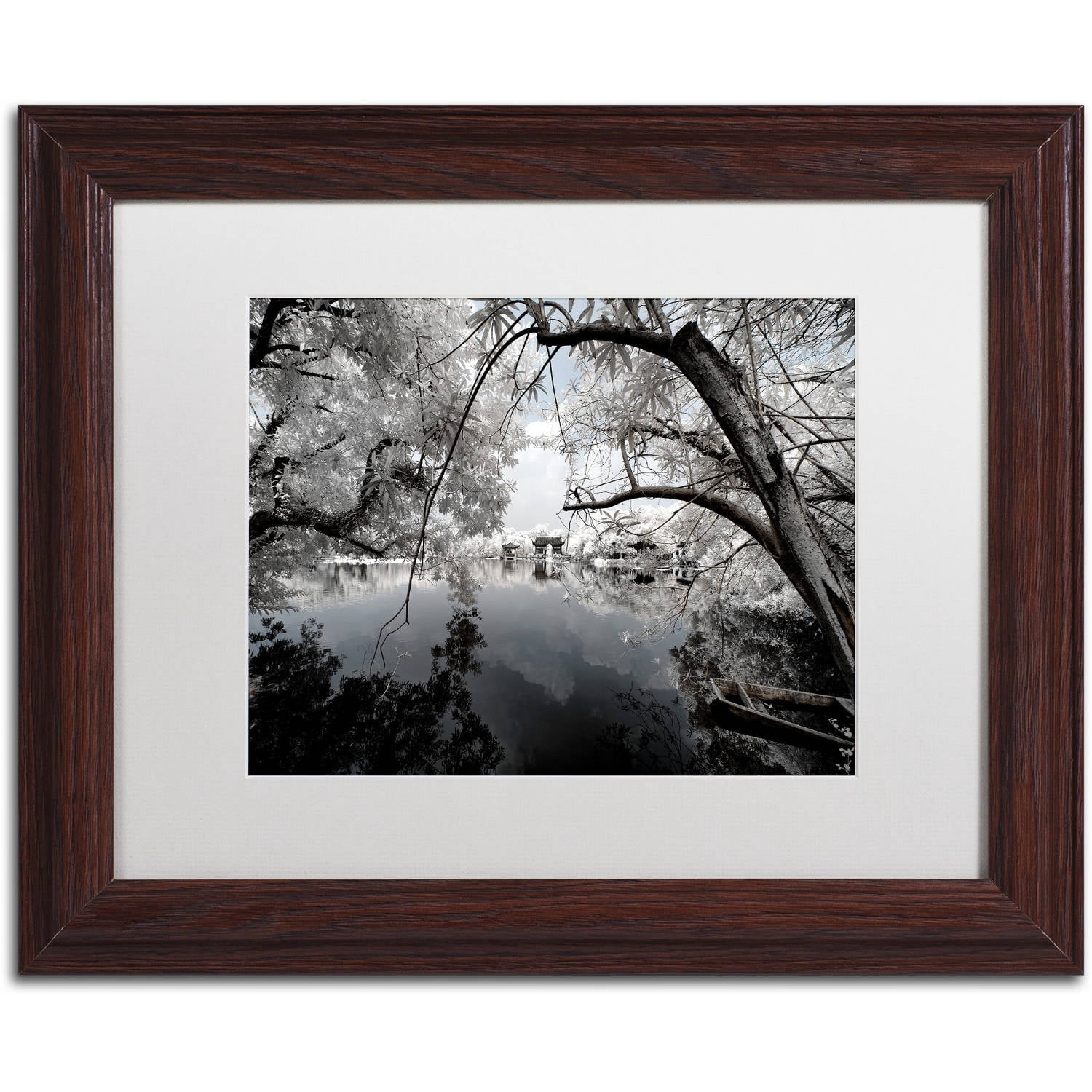 Trademark Fine Art "White Foliage" Canvas Art by Philippe Hugonnard, White Matte, Wood Frame