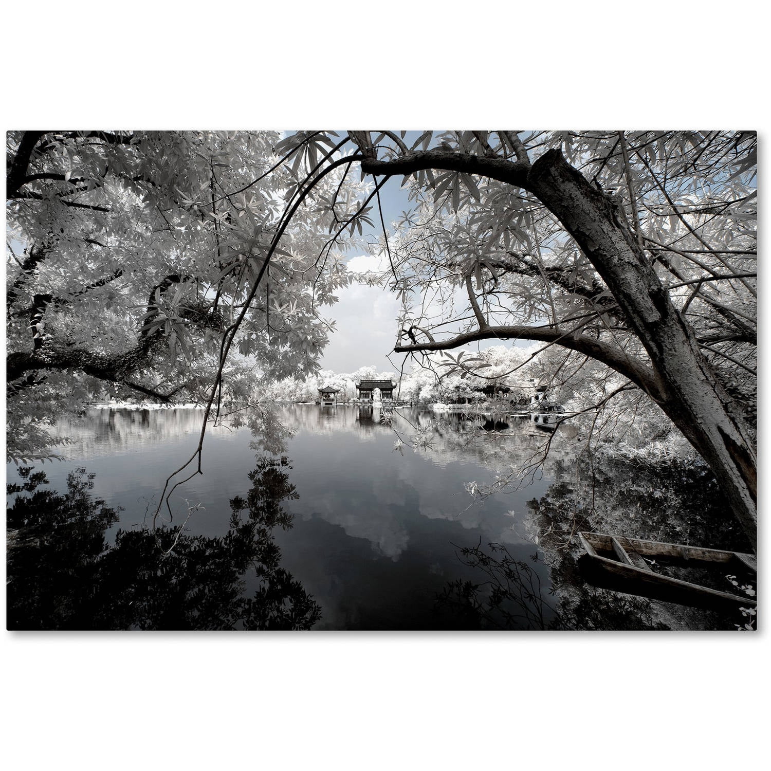 Trademark Fine Art "White Foliage" Canvas Art by Philippe Hugonnard