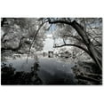 thumbnail image 1 of Trademark Fine Art "White Foliage" Canvas Art by Philippe Hugonnard, 1 of 3