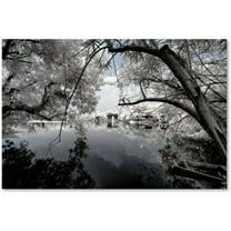 Trademark Fine Art "White Foliage" Canvas Art by Philippe Hugonnard